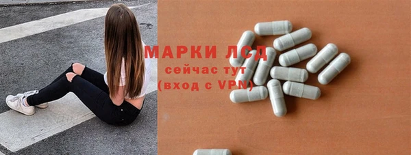 гашик Алексин