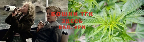 ГАЛЛЮЦИНОГЕННЫЕ ГРИБЫ Алексеевка