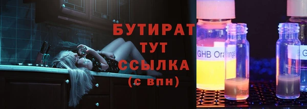 гашик Алексин