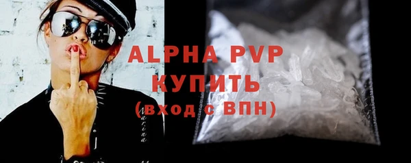 гашик Алексин