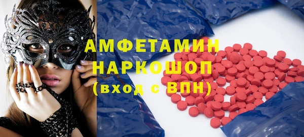 гашик Алексин