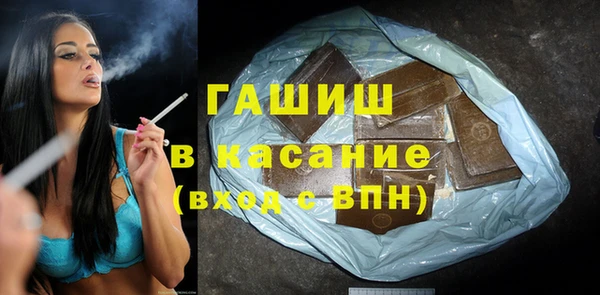 гашик Алексин