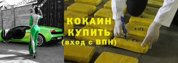 гашик Алексин