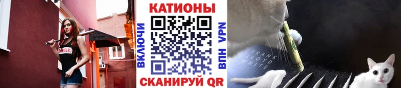 МЯУ-МЯУ мука ОМГ ОМГ вход Тольятти