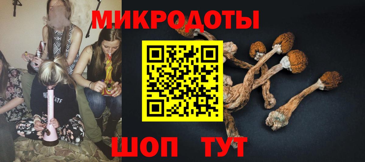 Псилоцибиновые грибы Cubensis Тольятти